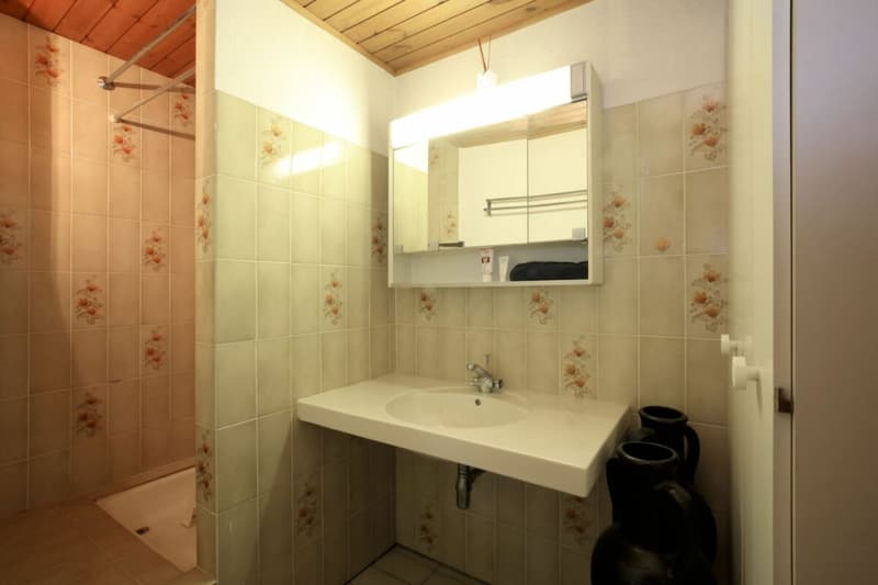 Minusio - Casa bifamiliare con Rustico (11)