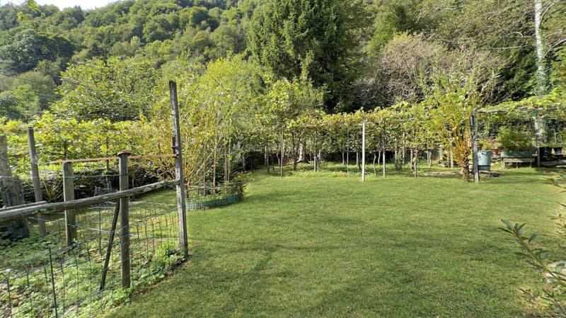 Aurigeno - Casa con Rustico (20)