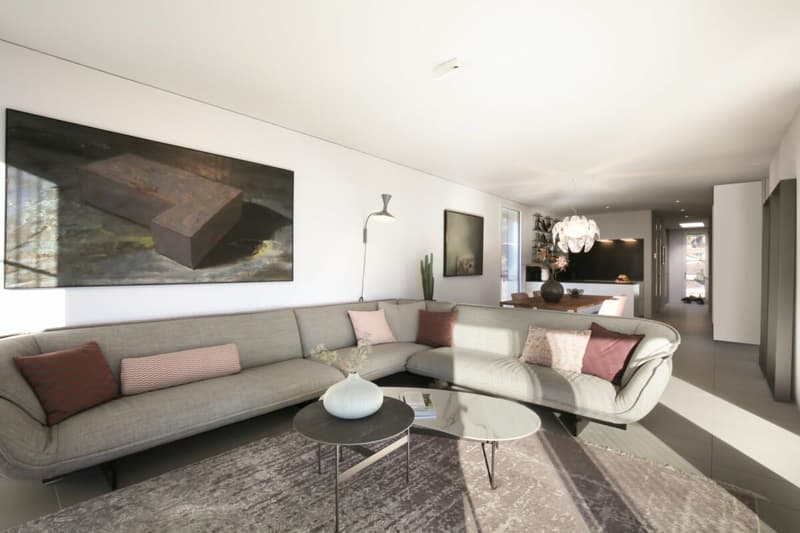 Solduno - Residenza Pioda (4)