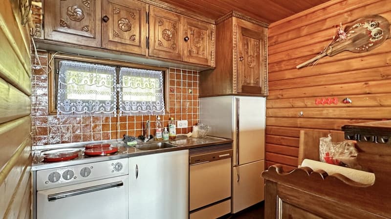Tessiner Rustico in Cardada (3)