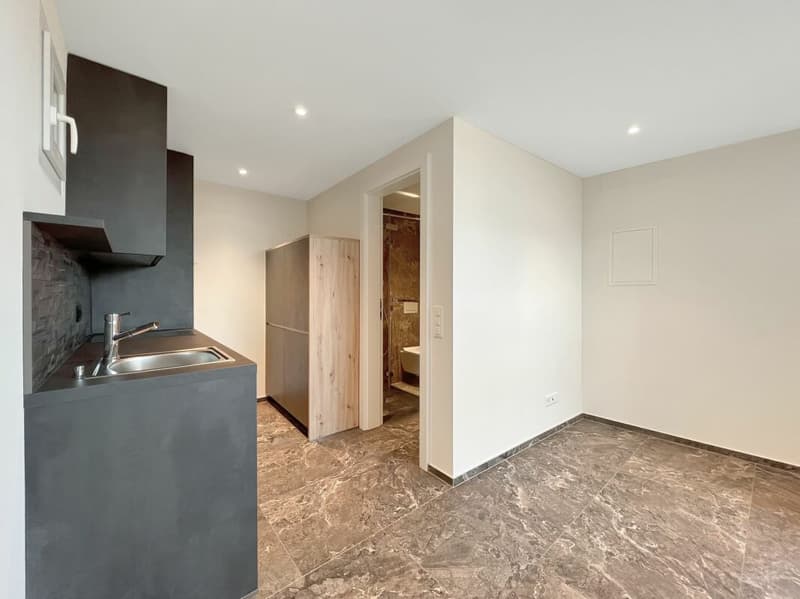 Ronco sopra Ascona - Modernes Tessiner-Haus (7)