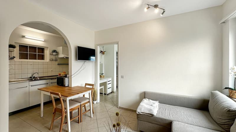 Brione sopra Minusio - Villa mit 3 Wohnungen (11)