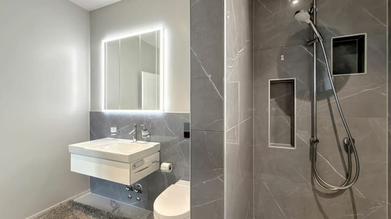 Ascona - Residenza Larissa (14)