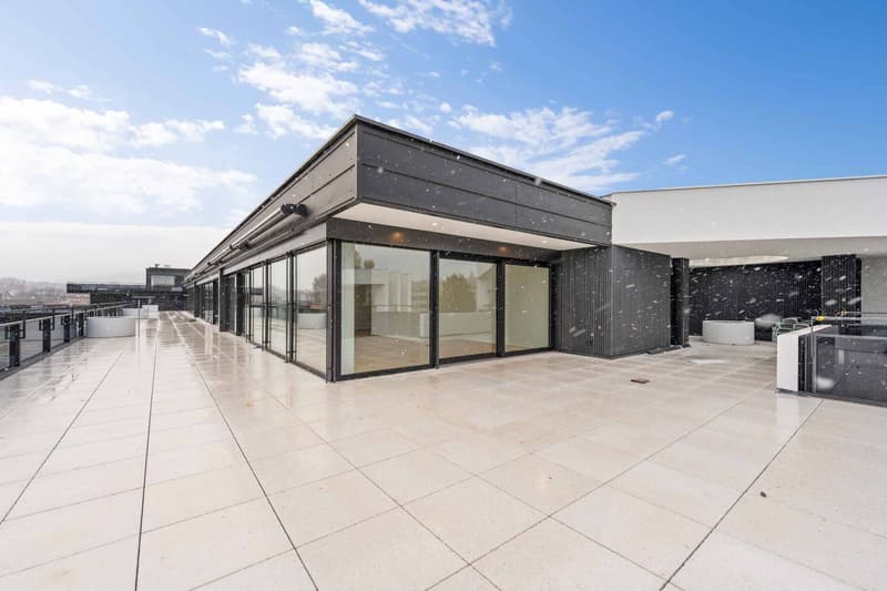 Superbe appartement neuf en attique  4.5 pièces avec vaste terrasse à Rolle (6)