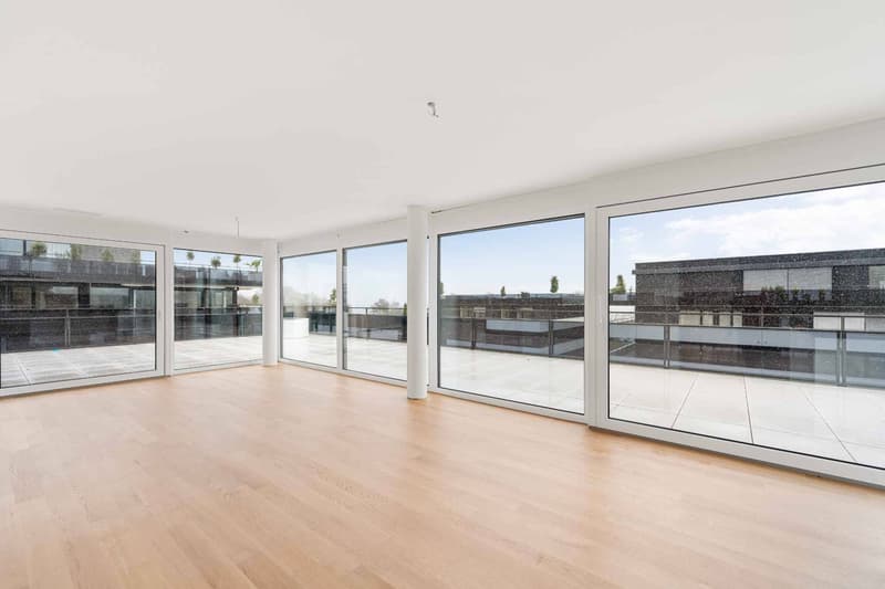 Superbe appartement neuf en attique  4.5 pièces avec vaste terrasse à Rolle (4)