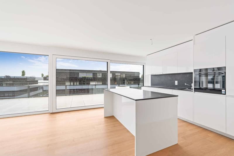 Superbe appartement neuf en attique  4.5 pièces avec vaste terrasse à Rolle (3)