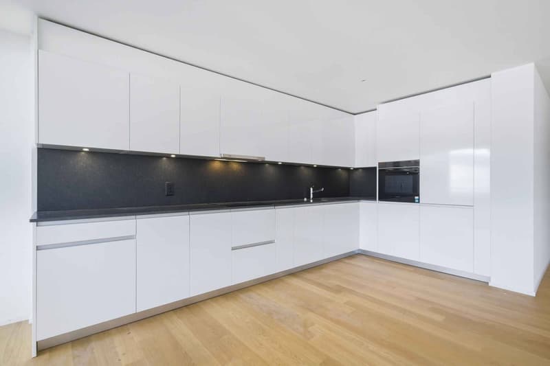 Appartement neuf traversant de 4.5 pièces avec deux balcons (3)