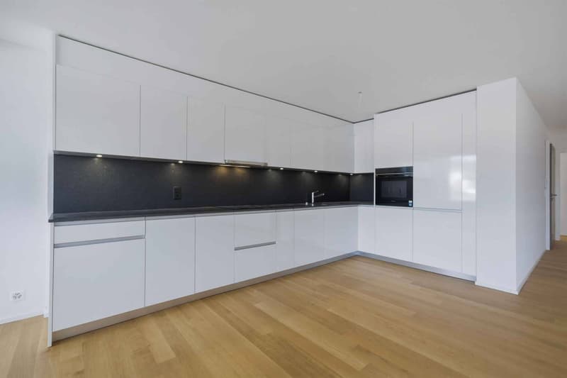 Appartement neuf traversant de 4.5 pièces avec deux balcons (3)