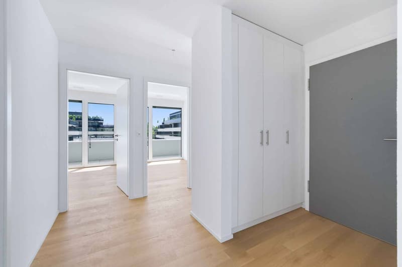 Appartement neuf de  standing - 4.5 pièces en angle avec terrasse de 164m² (6)