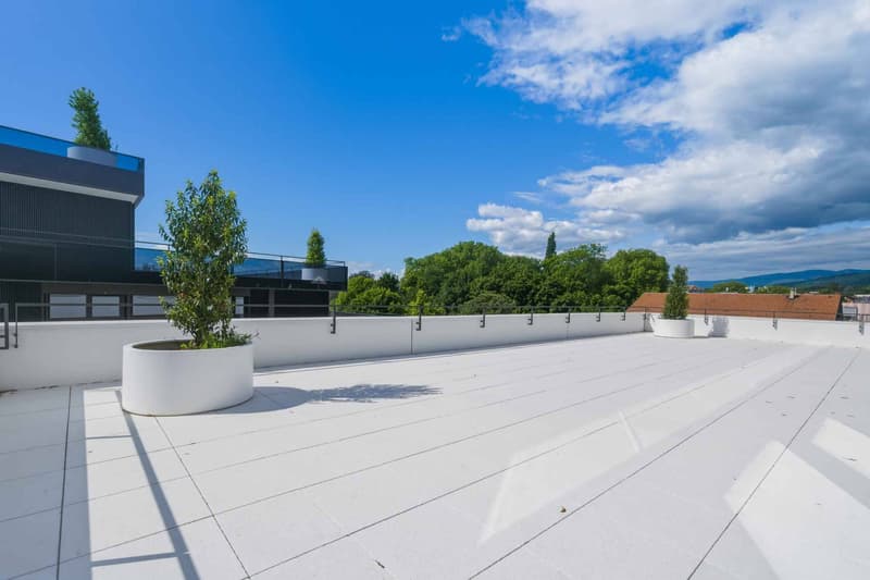 Appartement neuf de  standing - 4.5 pièces en angle avec terrasse de 164m² (8)