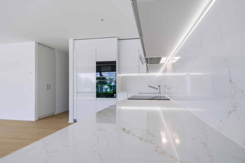 Appartement neuf de standing - 5.5 pièces en angle avec terrasse et jardin privatif (3)