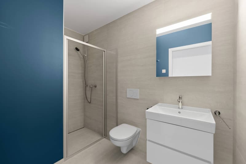 Appartement neuf de standing - 4.5 pièces en angle avec balcon de 76m² - Vue lac (7)