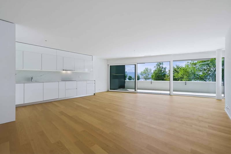 Appartement neuf traversant de 3.5 pièces avec deux balcons - Vue lac Léman (1)
