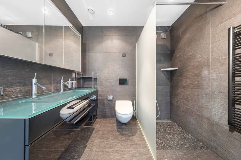 Superbe 3,5 pièces de standing avec terrasse et jardin - Disponible de suite (9)