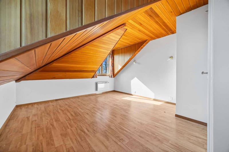 Magnifique maison individuelle de 7.5 pièces avec grand jardin (10)