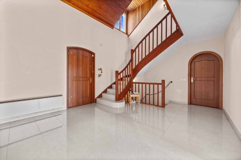 Magnifique maison individuelle de 7.5 pièces avec grand jardin (4)