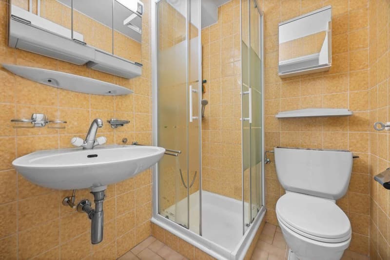 Appartement spacieux de 4,5 pièces avec jardin à Pully (6)