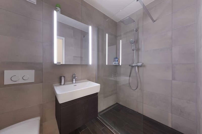 Appartement de 4.5 pièces situé à cinq minutes à pieds du bord du lac (8)