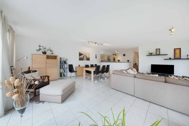 Appartement de 4.5 pièces situé à cinq minutes à pieds du bord du lac (2)