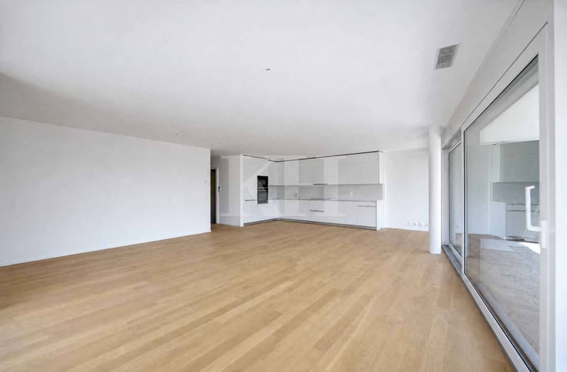 Appartement de 5,5 pièces neuf avec magnifiques finitions en rez de jardin ! (4)