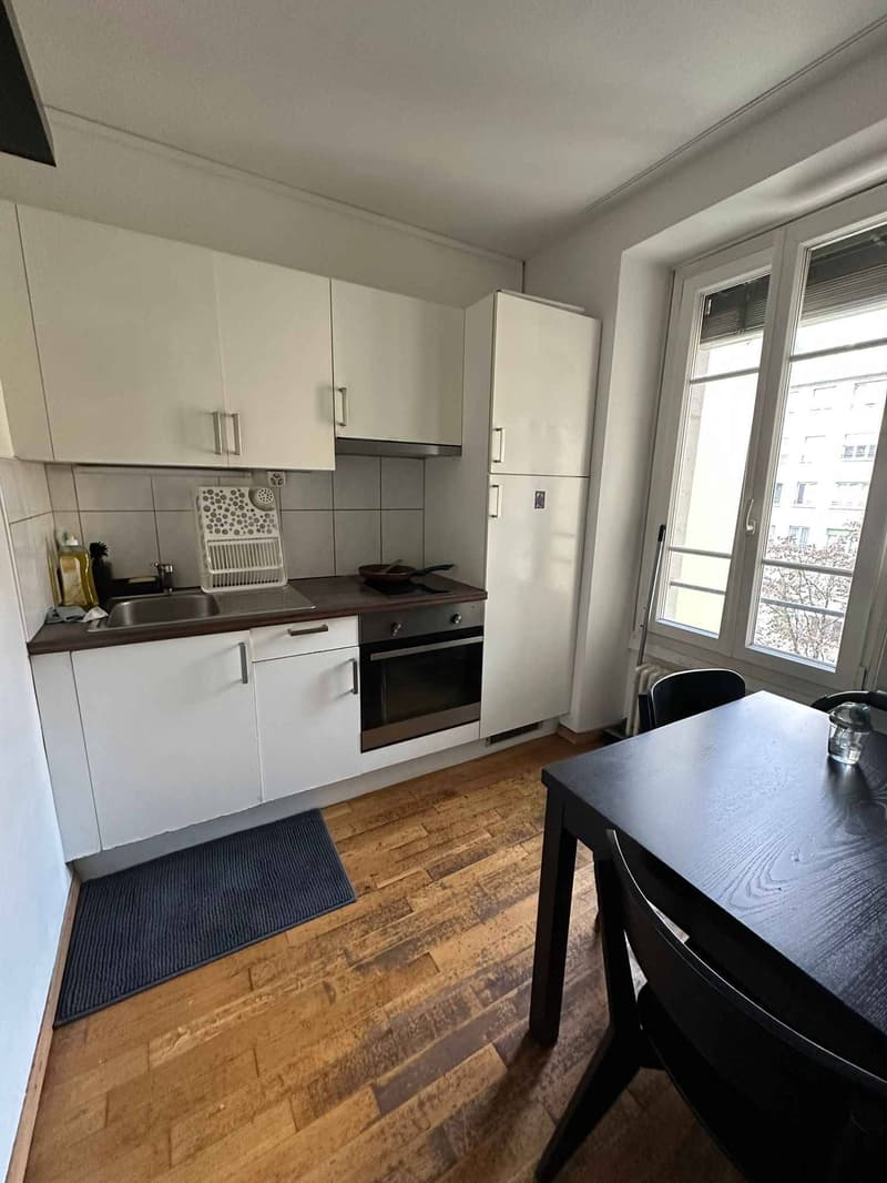Immeuble résidentiel de rendement au coeur de Genève (6)