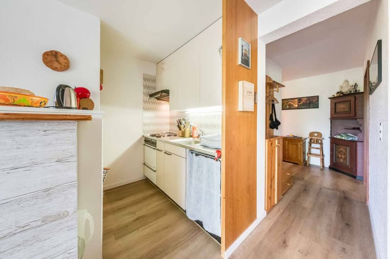 Appartement de 3,5 pièces avec grande terrasse (5)