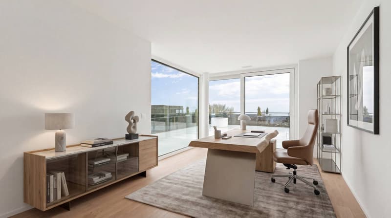 Splendide attique de 5.5 pièces avec terrasse de 249m2 (9)