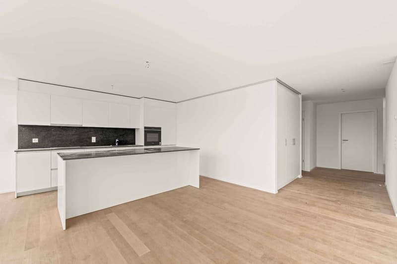 Splendide attique de 5.5 pièces avec terrasse de 249m2 (3)