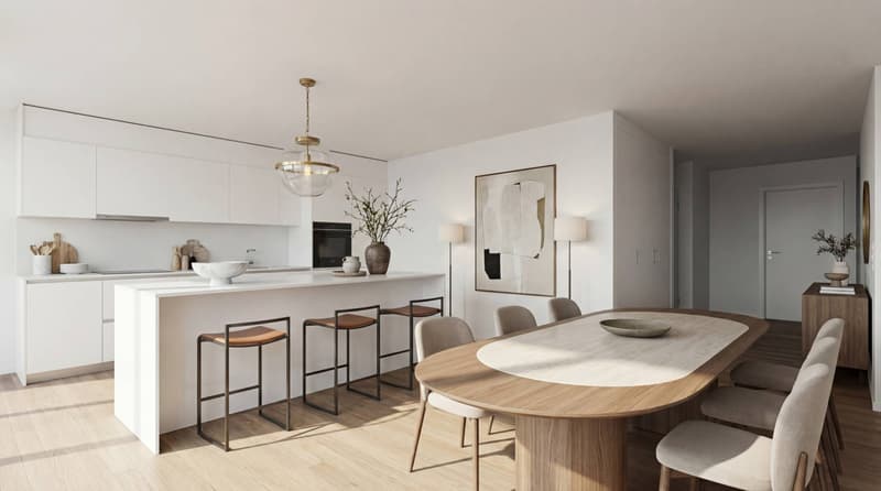 Splendide attique de 5.5 pièces avec terrasse de 249m2 (4)