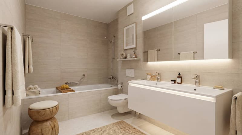 Splendide attique de 5.5 pièces avec terrasse de 249m2 (6)