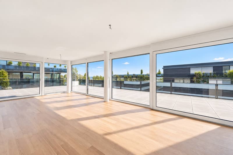 Attique neuf et moderne avec une terrasse rooftop de 95m2 (4)