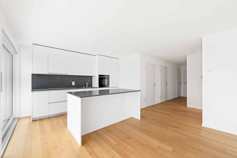 Attique neuf et moderne avec une terrasse rooftop de 95m2 (3)