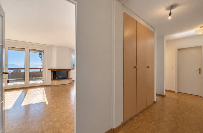 Appartement lumineux avec grande terrasse et vue panoramique sur le lac (4)