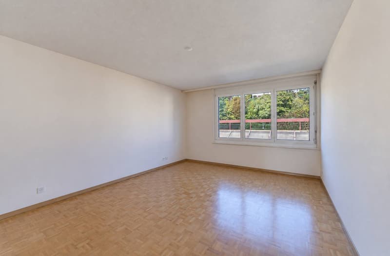 Appartement lumineux avec grande terrasse et vue panoramique sur le lac (6)