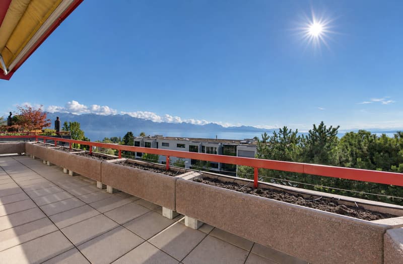Appartement lumineux avec grande terrasse et vue panoramique sur le lac (9)