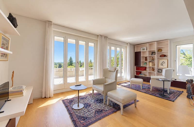 Appartement de 167 m² avec une terrasse de 153 m² en viager sans rente (4)