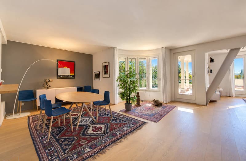 Appartement de 167 m² avec une terrasse de 153 m² en viager sans rente (2)