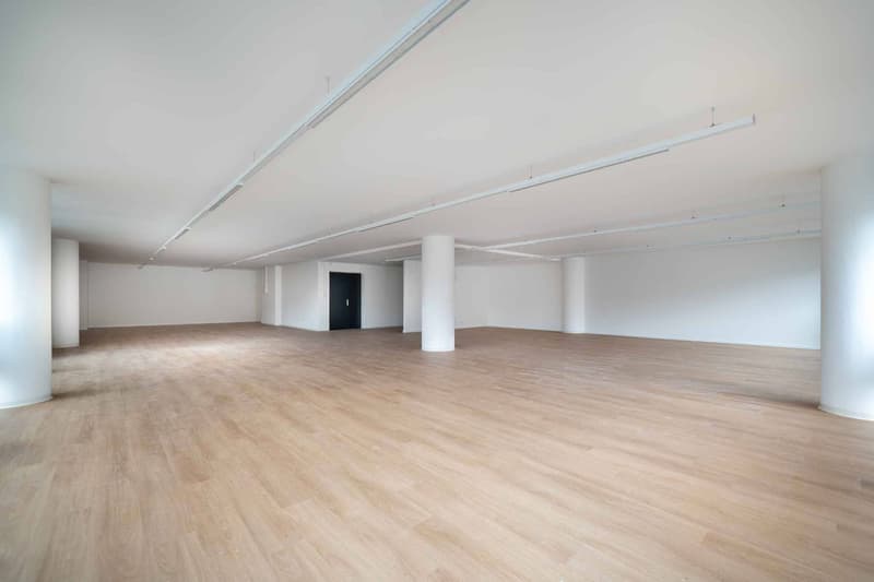 Locaux commerciaux modernes et entièrement rénovés de 129 m² et 230 m² (5)