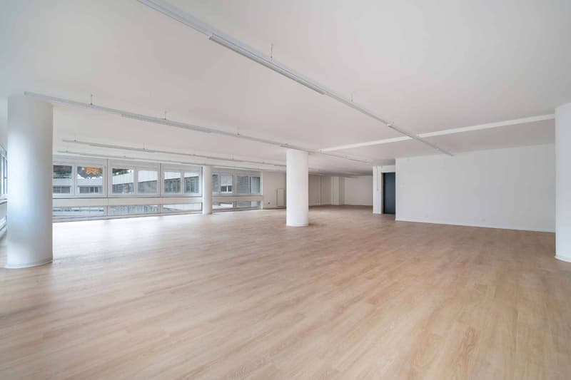 Locaux commerciaux modernes et entièrement rénovés de 129 m² et 230 m² (2)