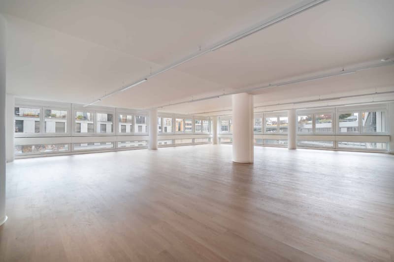 Locaux commerciaux modernes et entièrement rénovés de 129 m² et 230 m² (4)