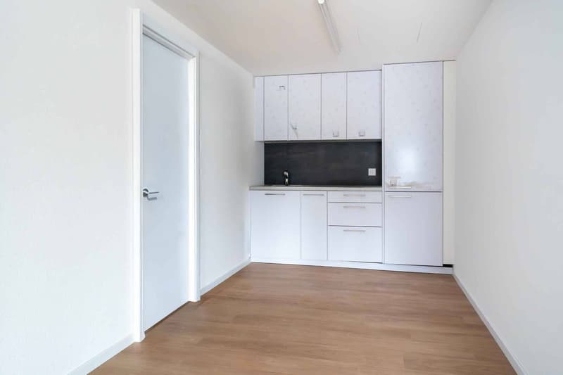 Locaux commerciaux modernes et entièrement rénovés de 129 m² et 230 m² (3)