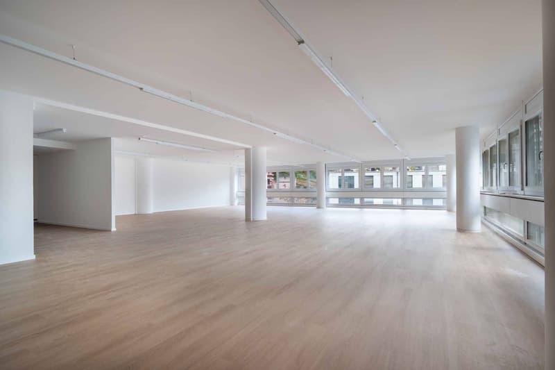 Locaux commerciaux modernes et entièrement rénovés de 129 m² et 230 m² (6)