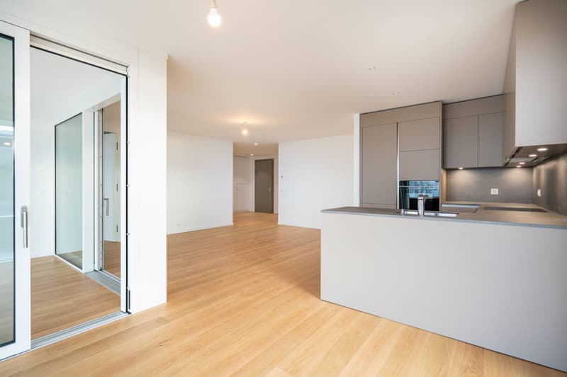 Magnifique appartement de 3,5 pièces avec vue sur le lac (5)