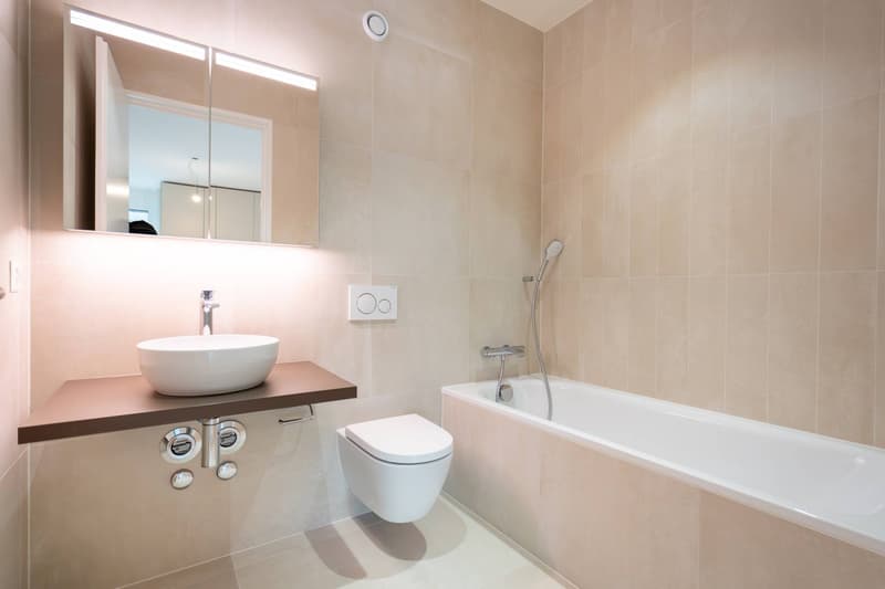 Magnifique appartement de 3,5 pièces avec vue sur le lac (9)