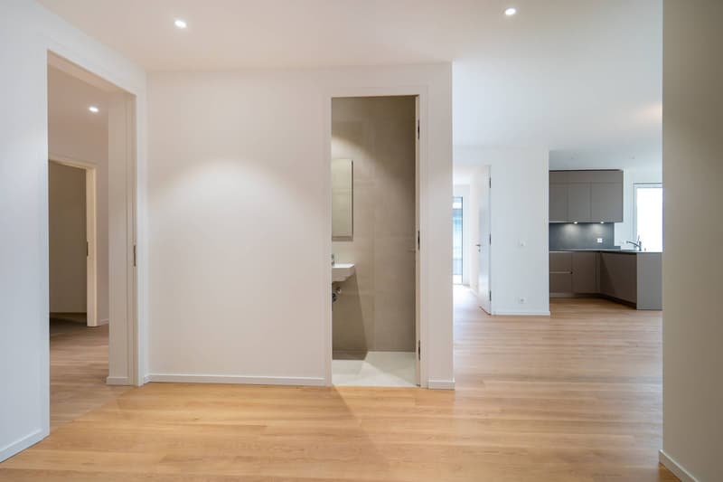 Magnifique appartement de 3,5 pièces avec vue sur le lac (3)