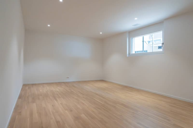 Magnifique appartement de 3,5 pièces avec vue sur le lac (12)