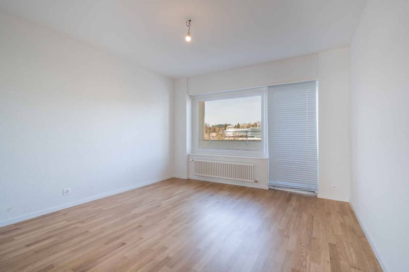 NEUF! Sublime de 4.5 pièces de 138m2 avec vue sur le lac (8)