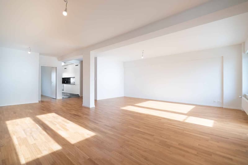 NEUF! Sublime de 4.5 pièces de 138m2 avec vue sur le lac (2)