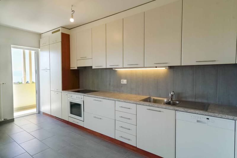 Sublime appartement de 3.0 pièces de 98m2 avec vue sur le lac (1)