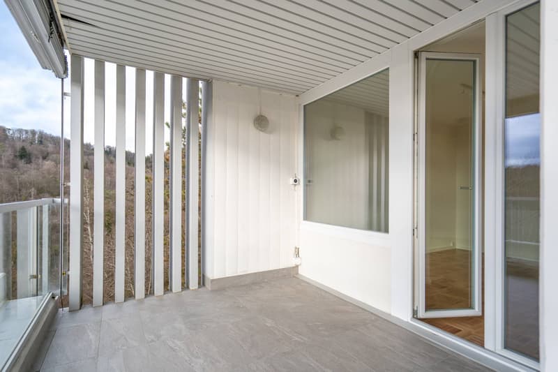 Superbe 3,5 pièces (9)